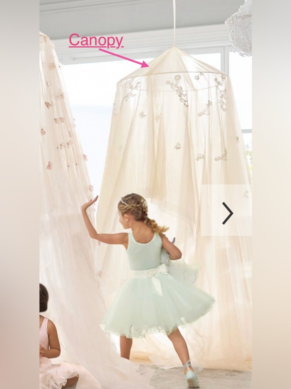 💛✨Monique Lhuillier Pottery Barn Kids Beige Floral Tulle Canopy✨💛
